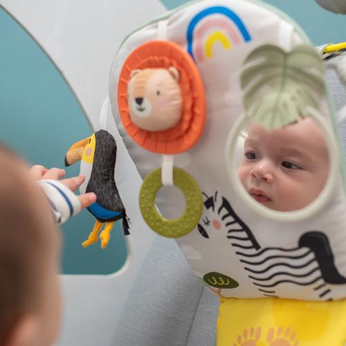 Image du produit Taf Toys Savannah