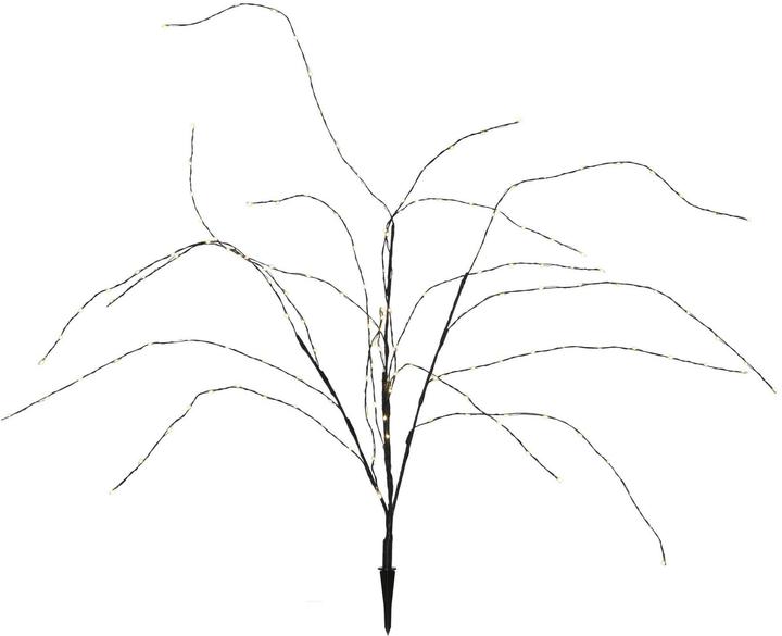 Produktbild Star Trading Decorativer Baum Reedy