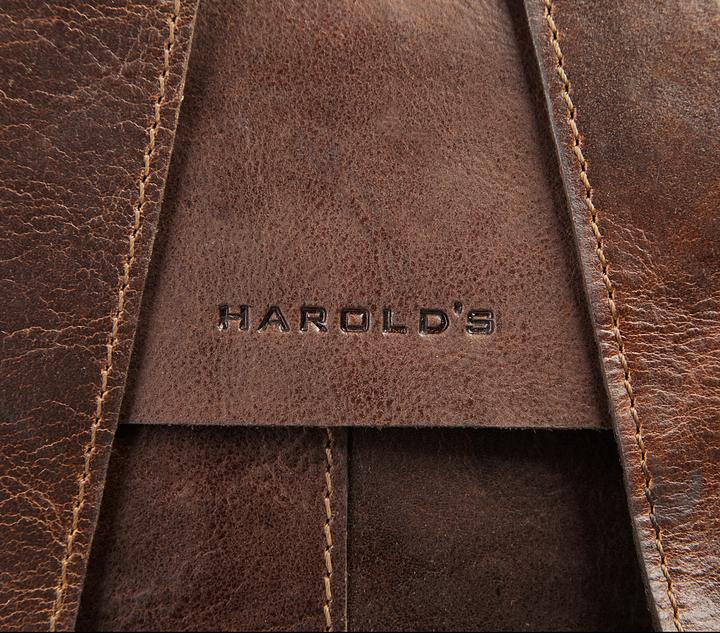 Actual product image Harolds Backpack / Daypack Aberdeen 2911 Backpack (10.20 l)