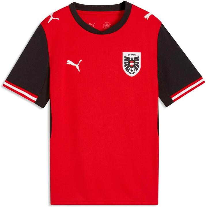 Actual product image Puma ÖFB Home Jersey Replica Jr (164)