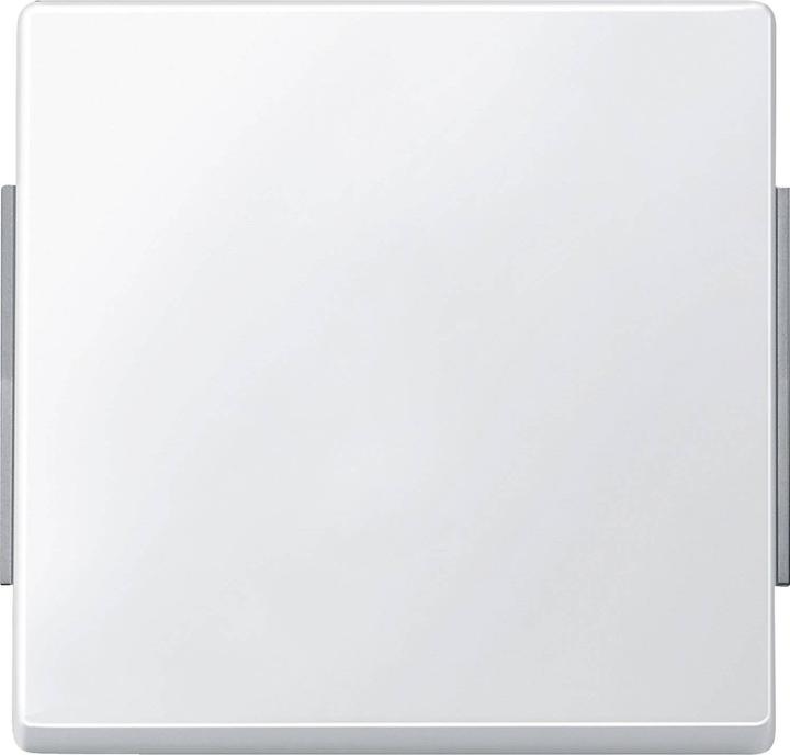 Actual product image Merten Rocker