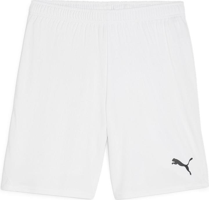 Actual product image Puma teamGOAL shorts (XXL)