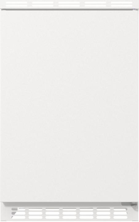 Actual product image Gorenje RBIU48E21 (82 l)