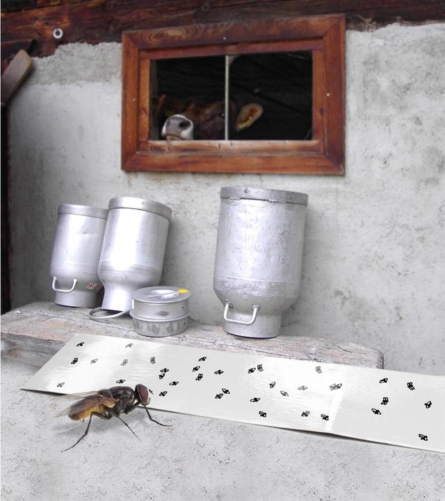 Produktbild Windhager Eco Fliegenfänger