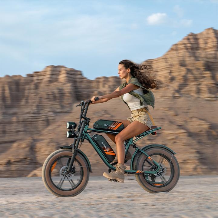 Produktbild Engwe M20 2x Batterien