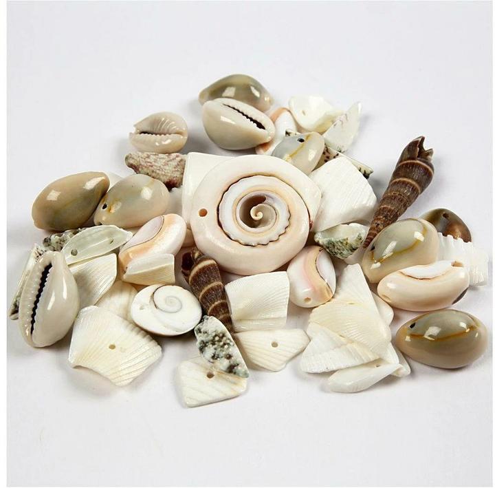 Produktbild Creativ Company Strandmuschelnperlen