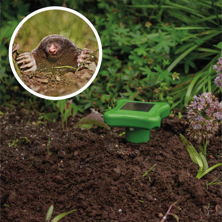 Actual product image Gardigo Solar mole defense