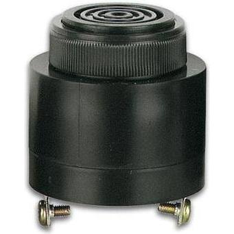 Velleman Products & Buzzers, Personenschutz, AC/DC NICHT-POLAR 220V - SCHRAUBBEFESTIGUNG