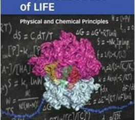 Produktbild The Molecules of Life (Englisch, Boyana Konforti, David Wemmer, John Kuriyan, 2012)