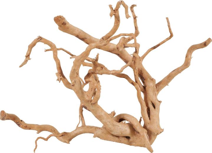 Actual product image Zolux Japanese root Spider Wood 30 40 cm (Embellishment, other items)