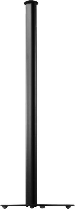 Canton LS 30 (Cavalletto)