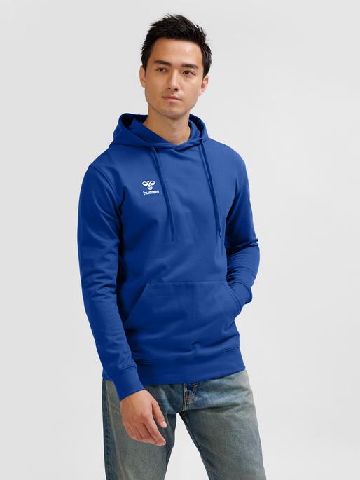 Actual product image hummel HMLGO 2.0 HOODIE (M)