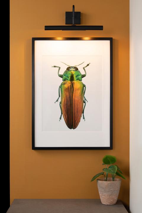 Produktbild Lucide Display & Bilderleuchten (G9)