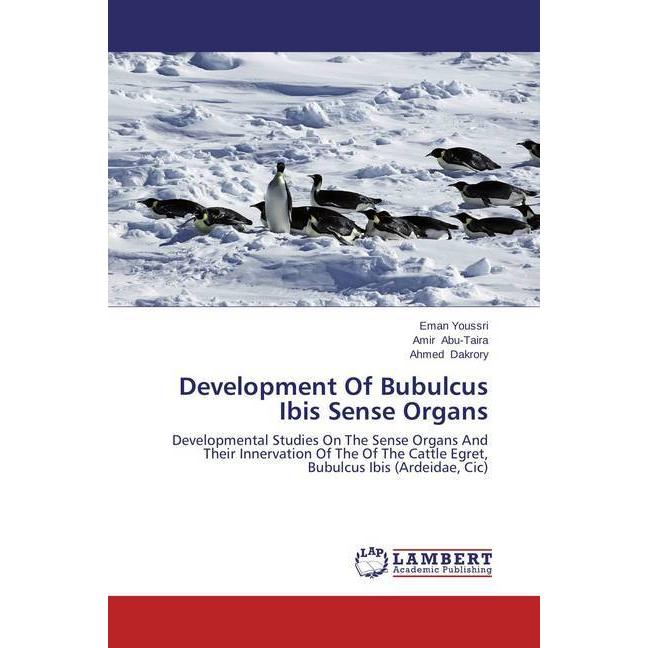 Development Of Bubulcus Ibis Sense Organs, Fachbücher von Amir Abu-Taira, Ahmed Dakrory, Eman Youssri