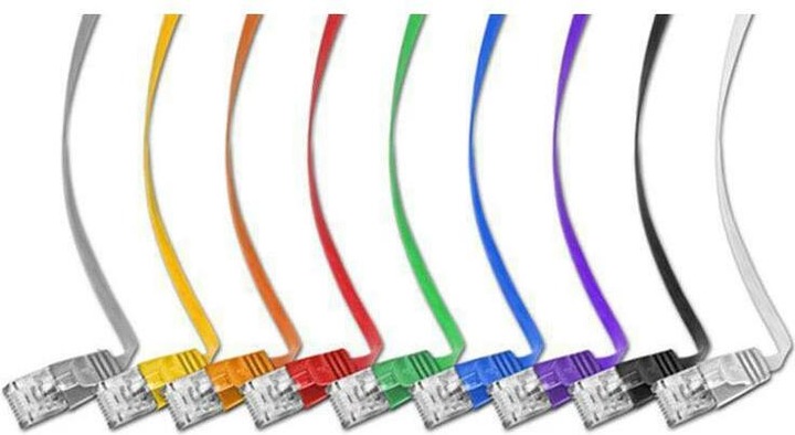 Actual product image Wirewin Network cable (UTP, CAT6, 0.25 m)