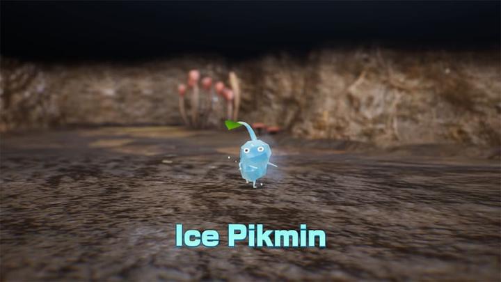 Actual product image Nintendo Pikmin 4 (Switch, DE)