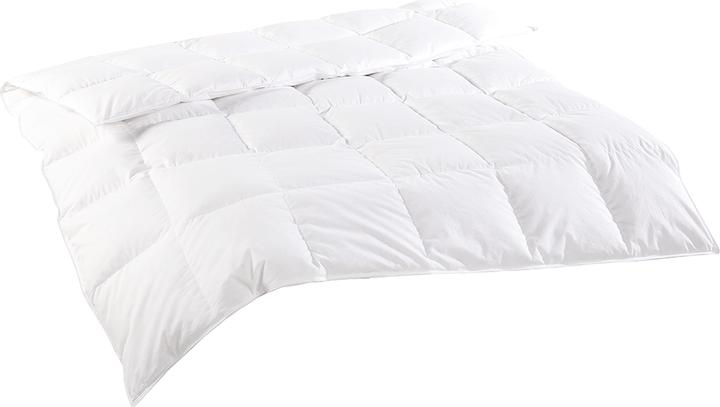 Image du produit Lipo Richard (Duvet, 200 x 210 cm)