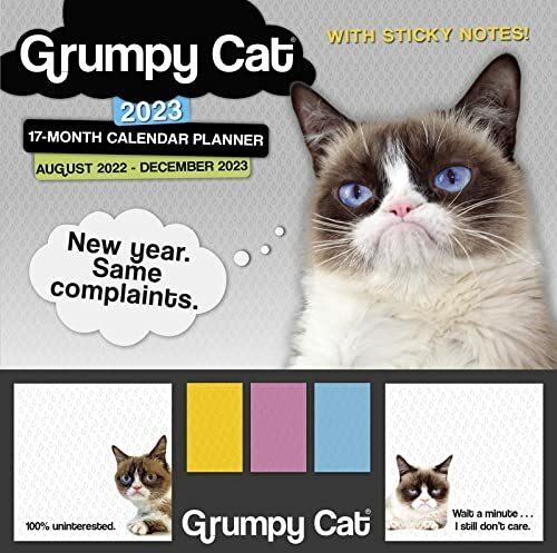 Produktbild Grumpy Cat August 2022-December 2023 17-Month Planner (Englisch)