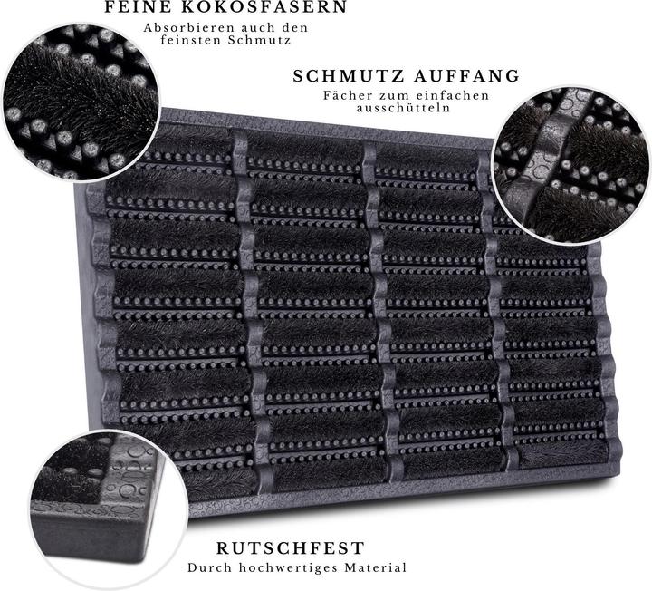 Immagine prodotto Hanse Home Brushes Mat (45 x 75 cm)