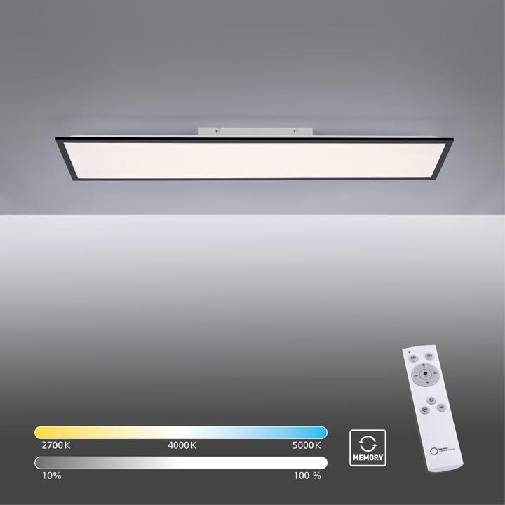 Produktbild Paul Neuhaus Flat (4100 lm)