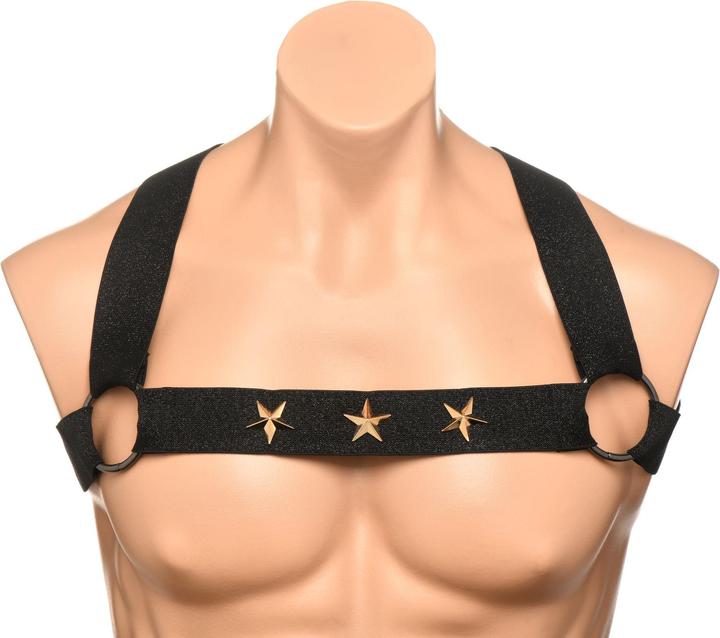 Actual product image Master Series XR Brands - Chest Harness with Armbands - Black