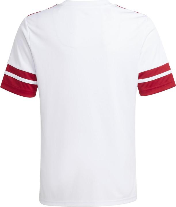 Produktbild adidas Squadra 25 Trikot Kids (128)