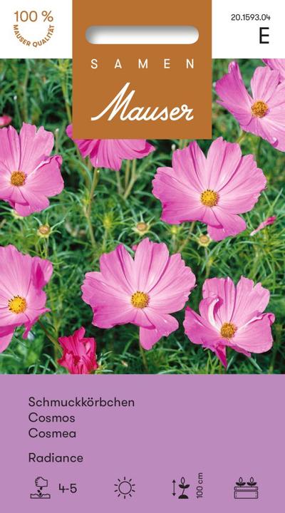 Image du produit Samen Mauser Panier à bijoux Radiance (Graines de fleurs)