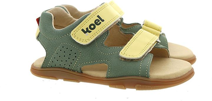 Immagine prodotto Koel Ova (28)