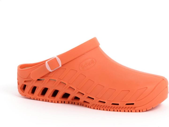 Scholl Clog Evo Health Care Professional (37)