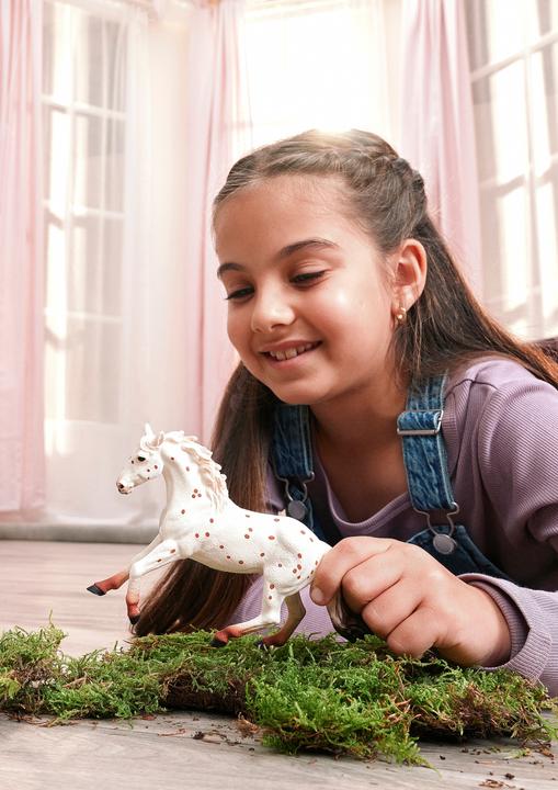 Image du produit Schleich Knabstrupper Stute