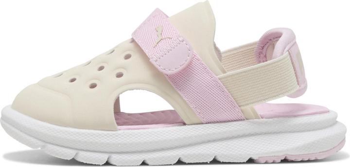 Neve alpina, Pearl Pink, Puma Bianco