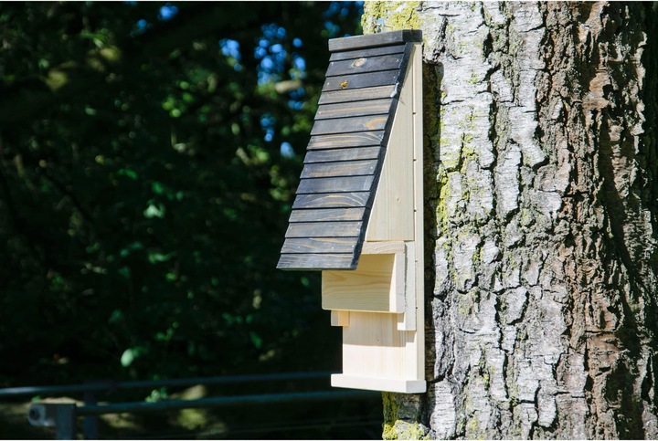 Immagine prodotto Dobar Bat box 19,5 x 14 x 53,5 cm