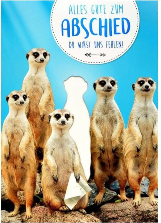 ABC Suricate (1 pcs)