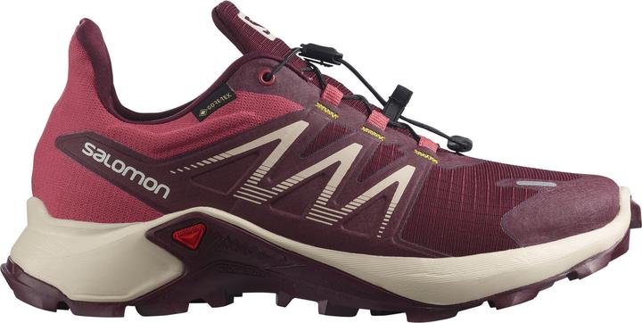 Produktbild Salomon Sagacross GTX (39)