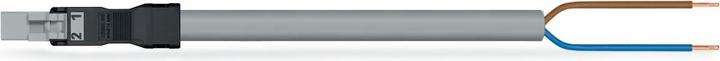 Actual product image Wago confect. Connection cable (4 m)