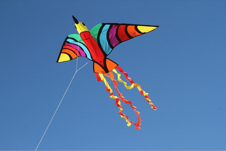 Actual product image Invento Dragon Tropical Bird