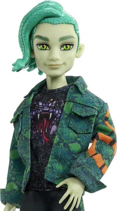 Actual product image Monster High HHK56