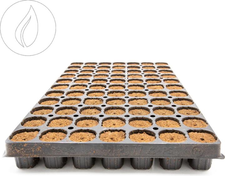 Actual product image Agro top Garden Intra Plug 77 Tray Coco 7 Trays Box