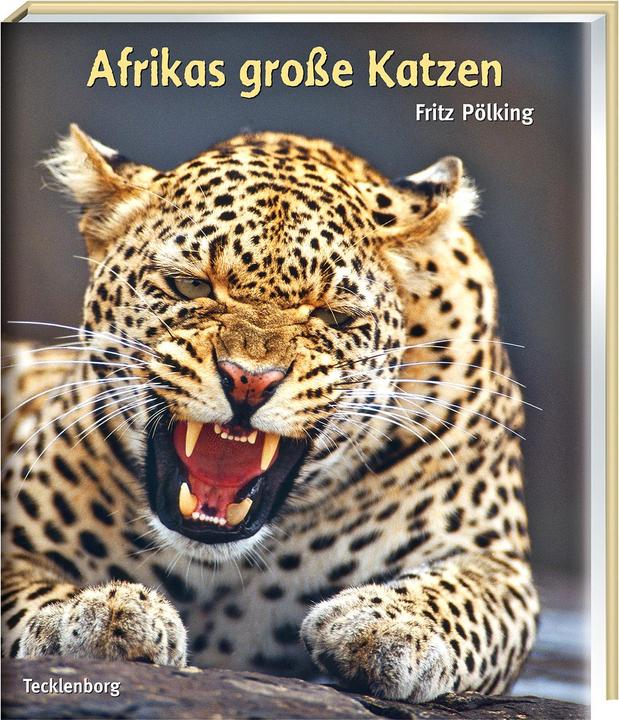 Produktbild Afrikas grosse Katzen (Deutsch, 2008)