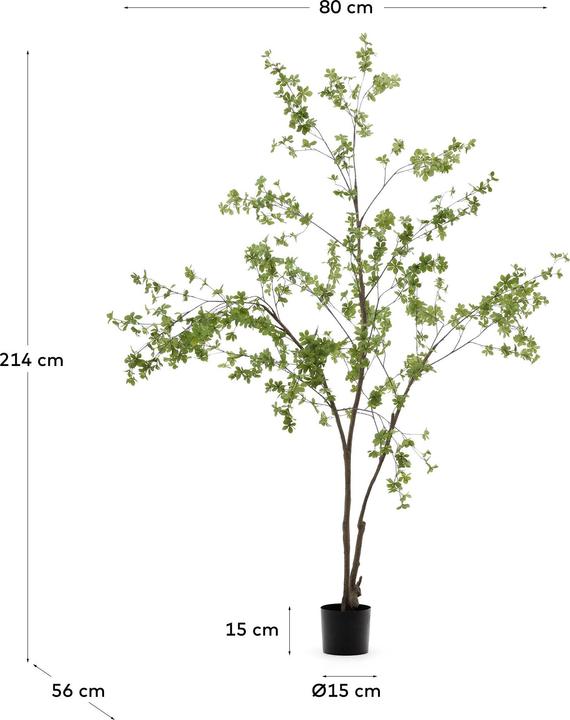 Produktbild Kave Home Enkianthus (214 cm)