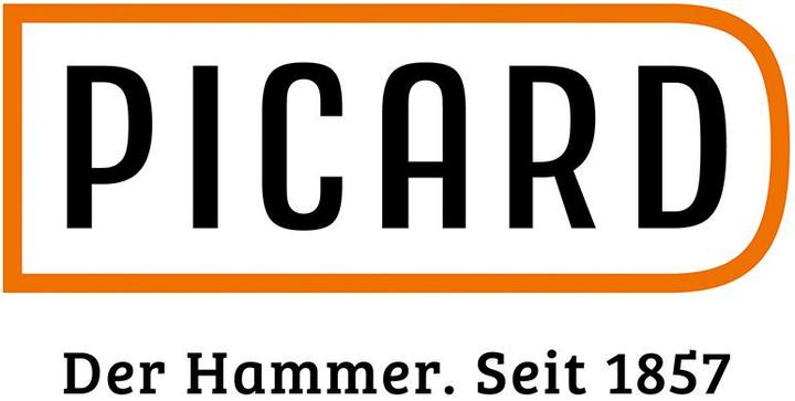 Actual product image Picard 1000g hammer plastic handle DIN 6475 (1000 g)