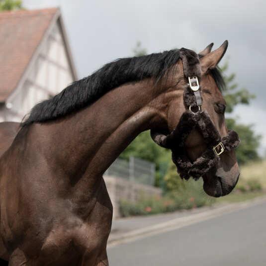 Produktbild B Vertigo Tremblant