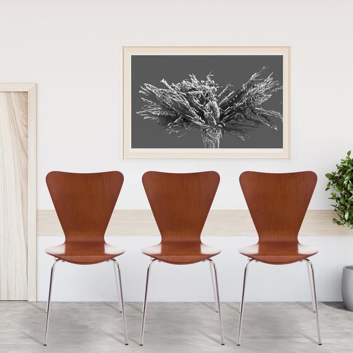 Image du produit CLP Calisto