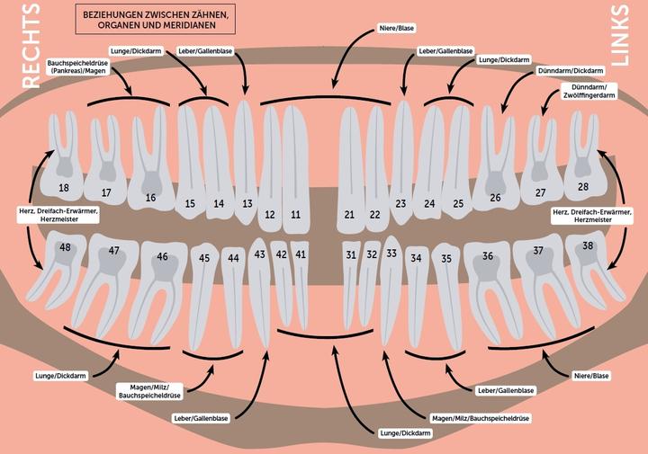 Image du produit Die Zähne, ein Spiegelbild unserer Seele (Allemand, Juliette Peyronnet, 2022)