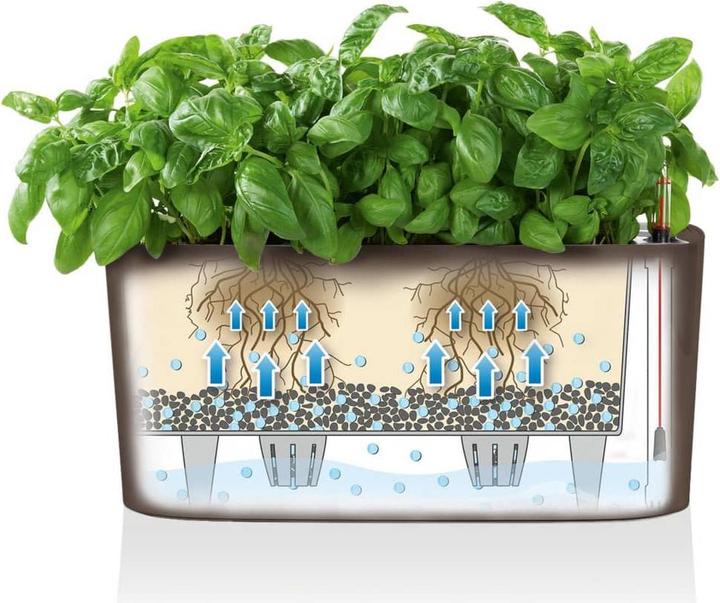 Productafbeelding Lechuza Delta (40 x 15 x 18 cm)