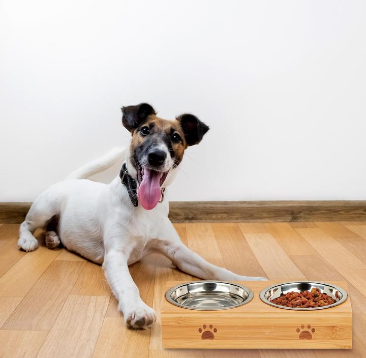 Immagine prodotto Relaxdays Stazione di cibo per cani (0.30 l)