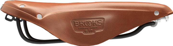 Actual product image Brooks England B17 Narrow