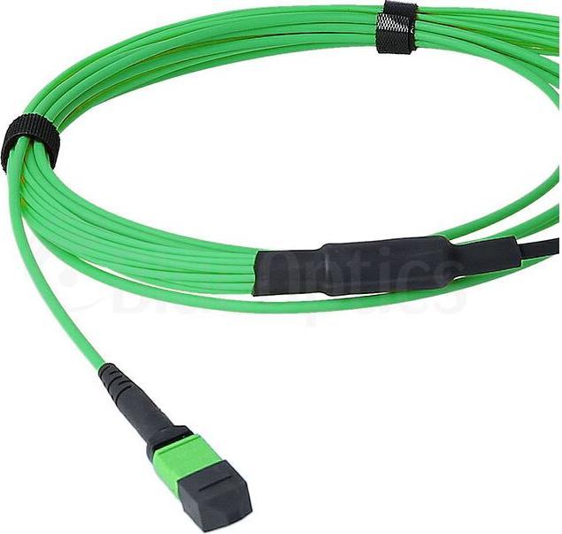 Actual product image BlueOptics Fibre optic MTP/8xLC duplex breakout cable OM5 2 metres (2 m)