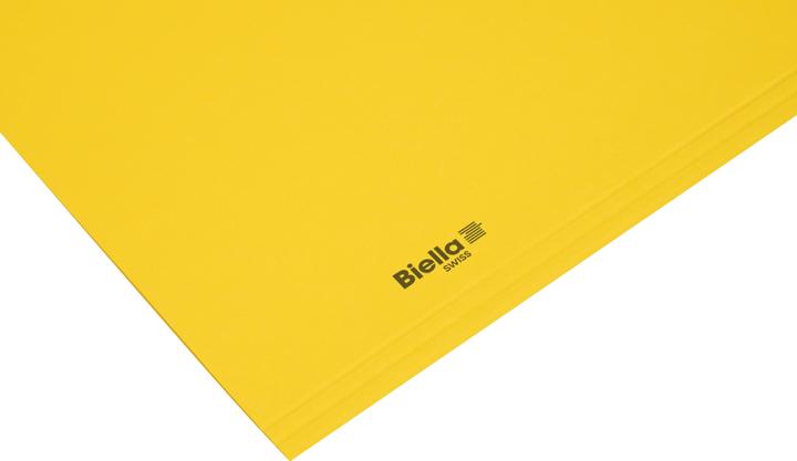 Produktbild Biella Vertikalmappe Recycolor (A4, 100x)