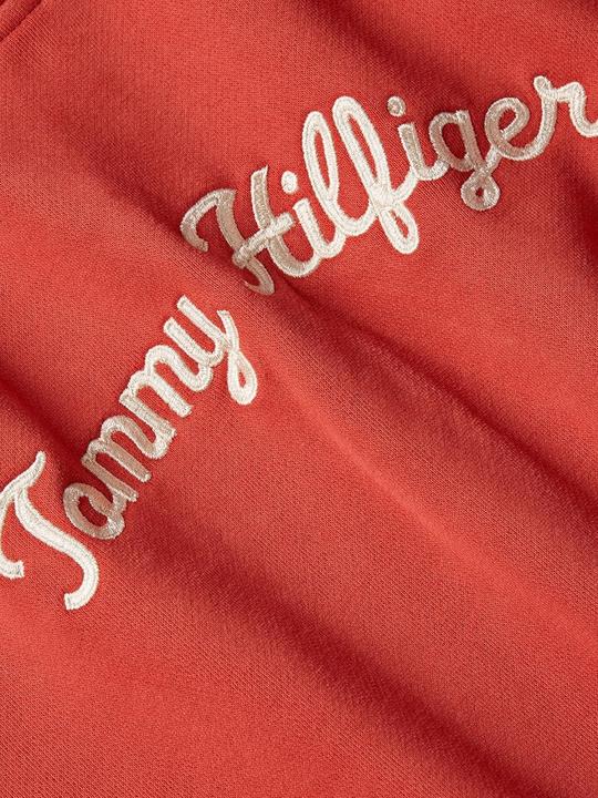 Produktbild Tommy Hilfiger Felpa con Cappuccio IM REG SCRIPT HILFIGER (L)